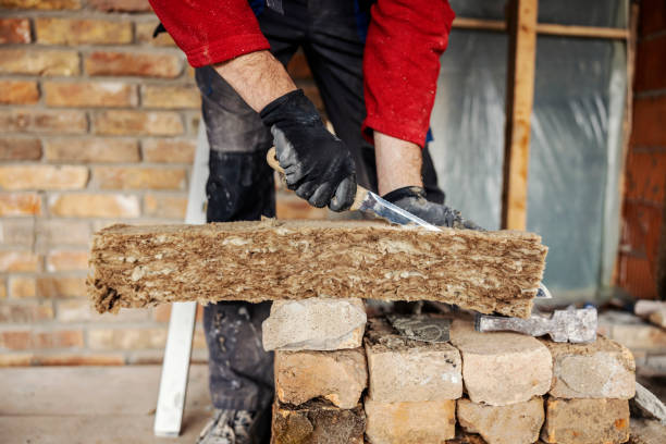 Best Insulation Replacement Services  in Bylas, AZ