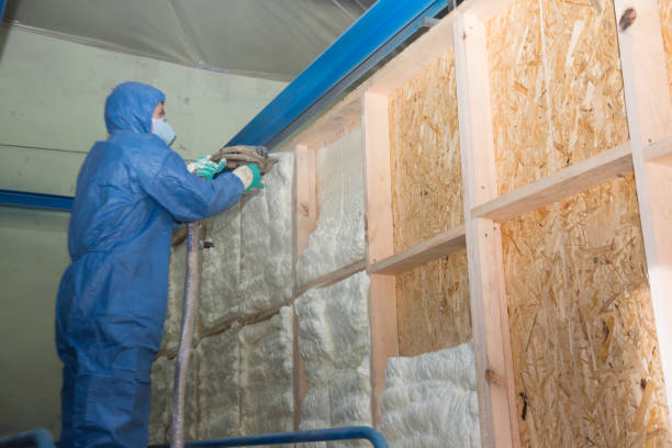 Best Attic Insulation Near Me  in Bylas, AZ